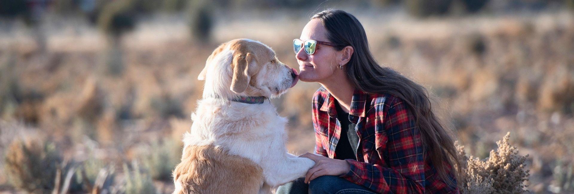 Woman in plaid shirt kneeling down outside with brown and white dog that's sitting on its hind legs